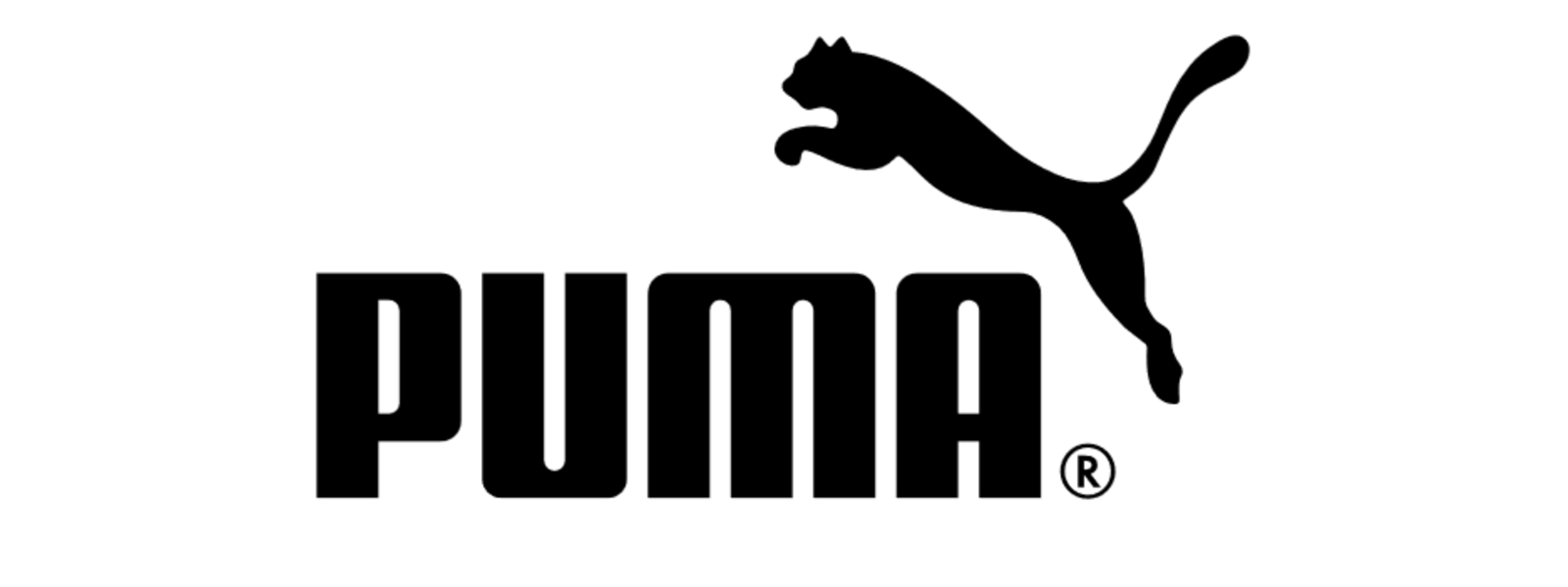 Pathlock Kunde: Puma