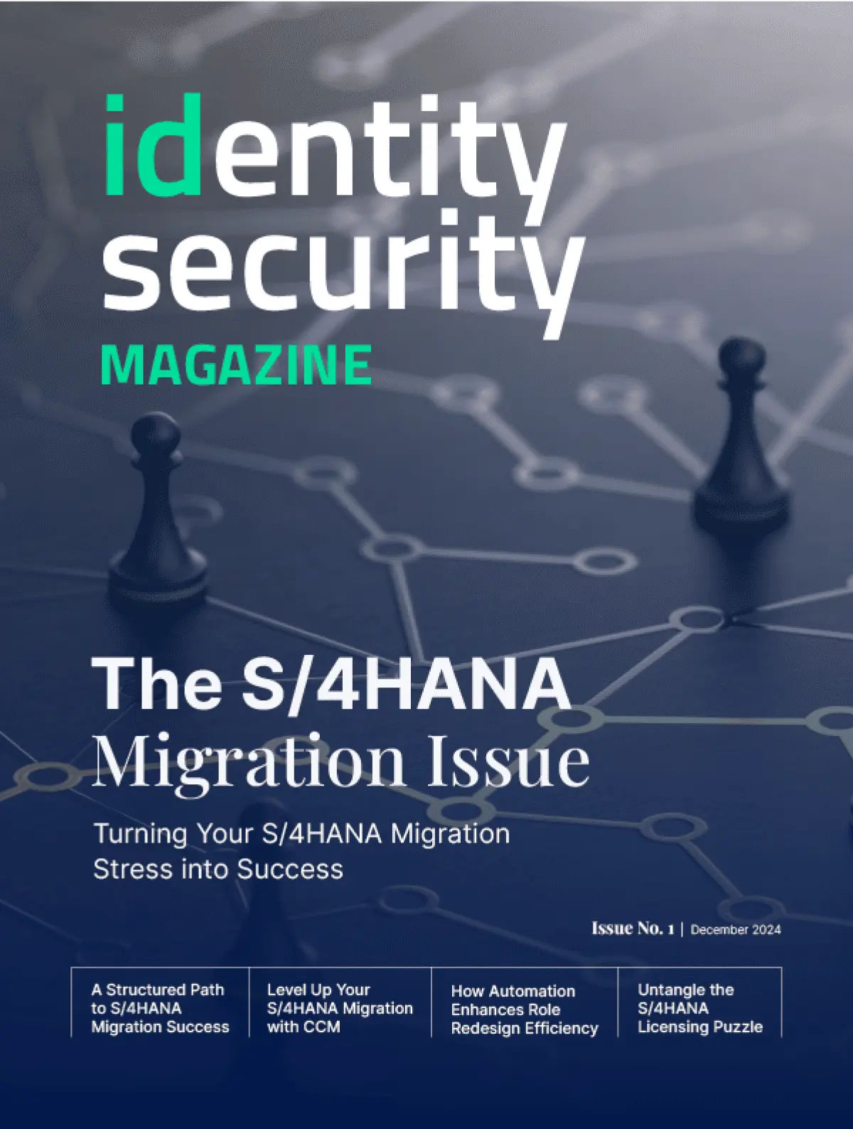 S/4HANA Migration Issue: From Migration Stress to Success  