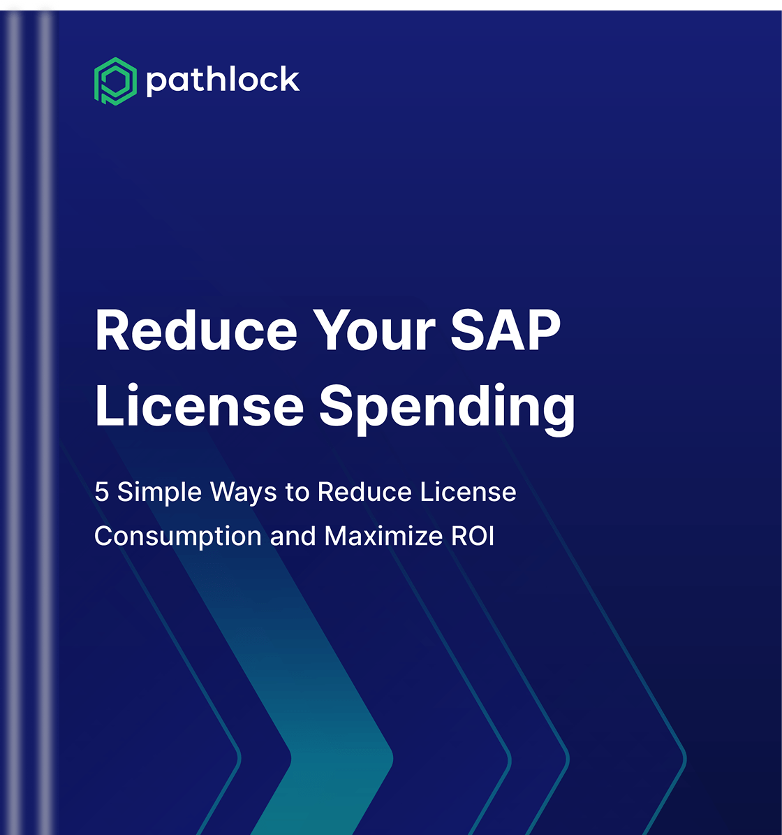 5 Simple Ways to Reduce SAP License Spending