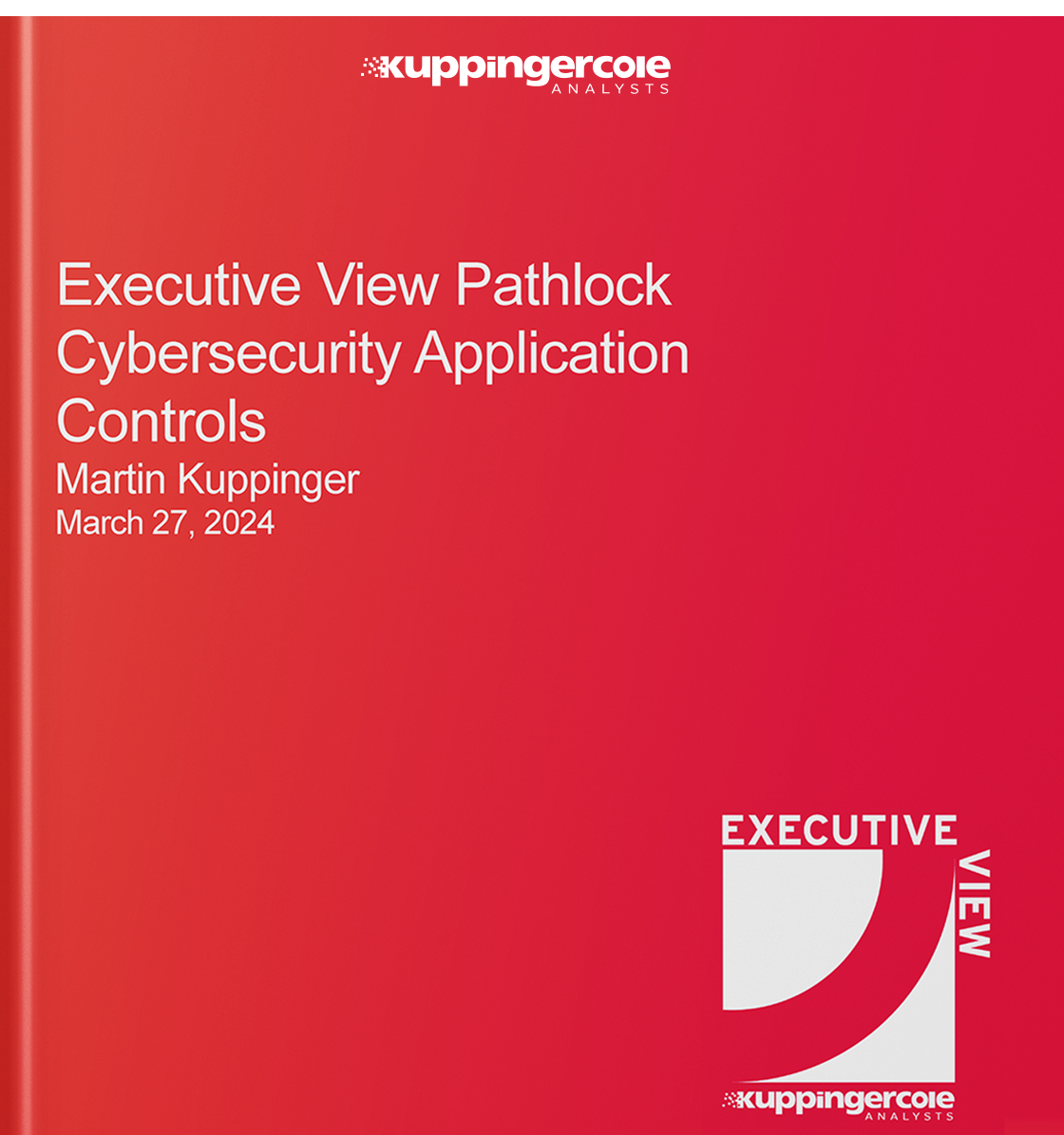 Executive View Pathlock Cybersecurity Application Controls