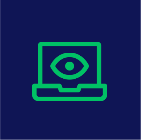 Icon_LP_Data Masking_500x500px